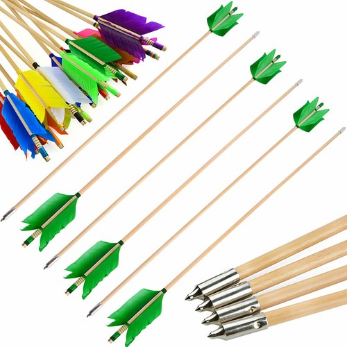 Frecce influenzali tiro con - frecce,