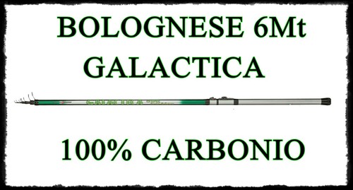 Canna galactica bolognese - canna,