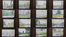 16 WATERCOLOR PAINTED SKETCHES
