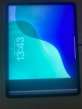 iPad Pro 12,9" (2021) - Puce