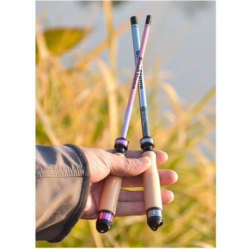 Canna pesca compatta di - pesca,