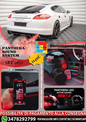 Art 2672 panthera - ⭐art.2672, sound