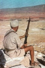 Militaria - Algérie - Harki