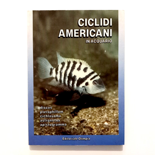 Ciclidi americani acquario - ciclidi,