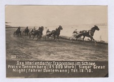 Trasporto Cavalli Berlino