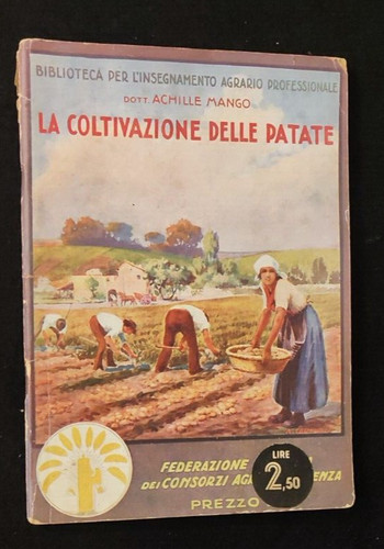 Mango coltivazione delle - la,