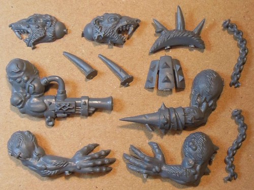 Chaos skaven rat - rat,