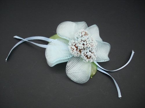 Girasole azzurro con nastro