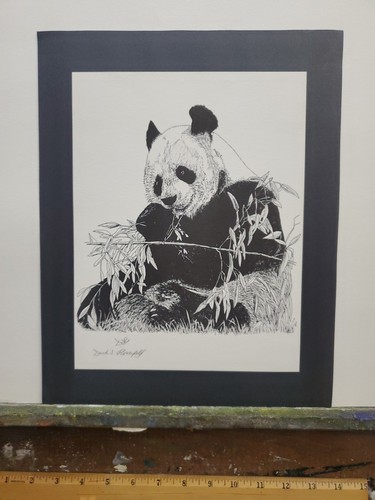 Disegno penna e - penna,