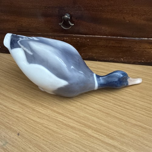 Anatra mallard vintage - un'anatra,