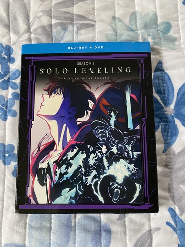 Solo leveling season - leveling:, 2