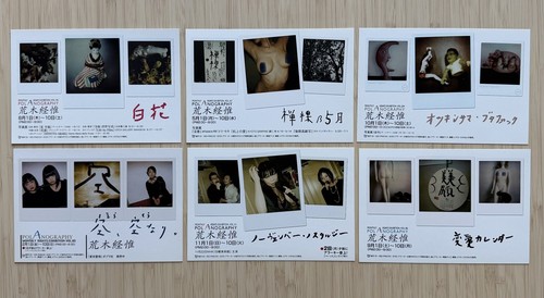 Polaroid nobuyoshi araki - nobuyoshi,