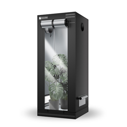 Cannobox serra tenda per