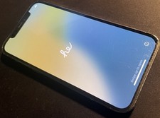 Apple iPhone 12 Pro A2407 -