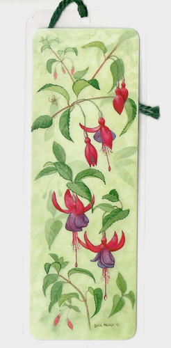 Libro fucsia margherita - libro, fiori