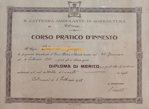 Diploma antico - (, )