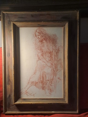 Disegno antico rino - disegno,
