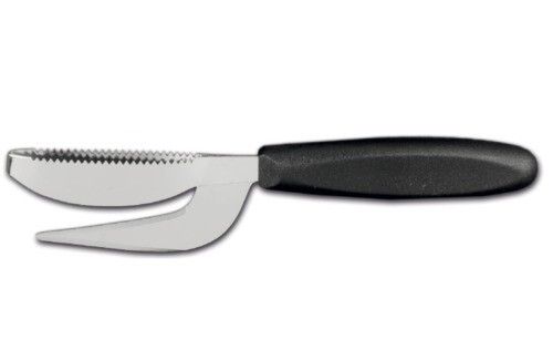 Sanelli 5499 000 raschietto - sanelli, 5499.000,