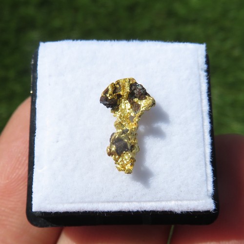 Minerali rara pepita d - ***, d'oro