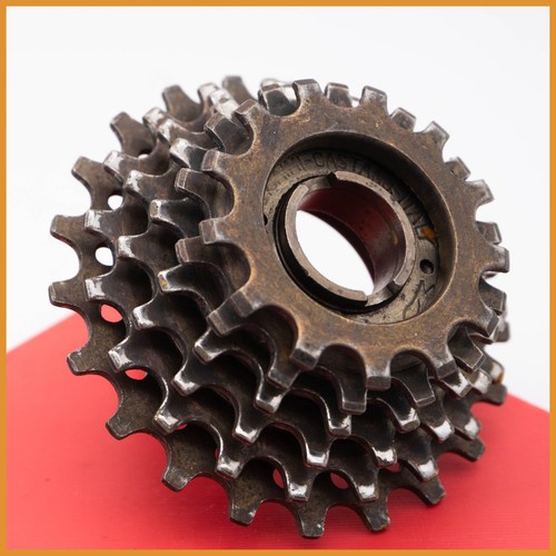 Everest oro marce vintage - 6,