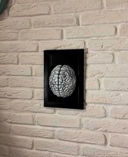 QUADRO 3D CERVELLO  -