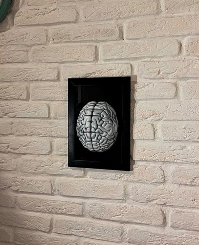 Quadro cervello - 3d,