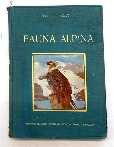 Perlini fauna alpina - perlini,