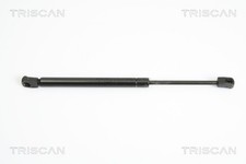 TRISCAN 2x molle a gas cofano