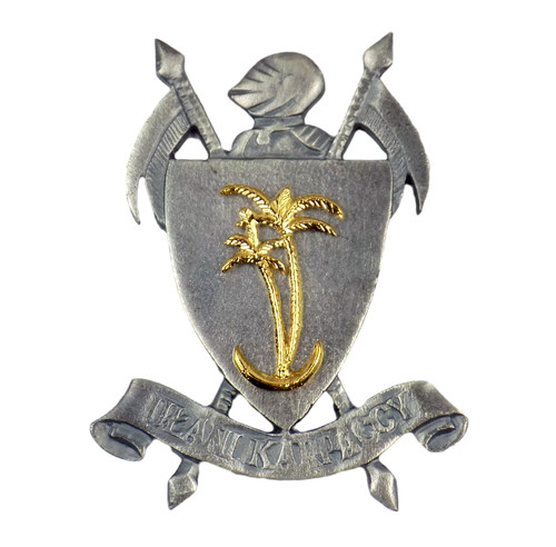 246 ww2 distintivo polacco - polacco, del