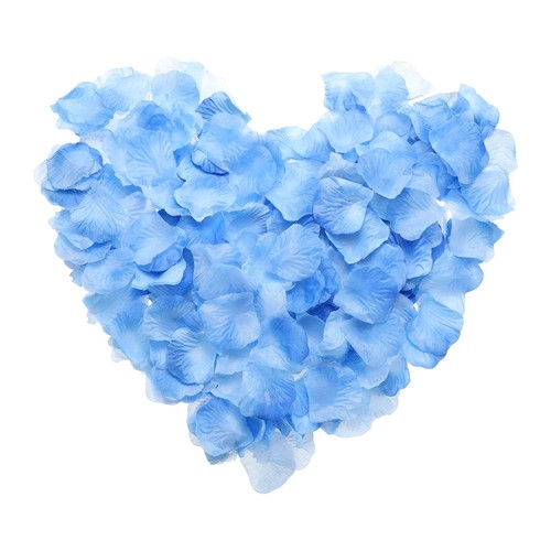 1000pcs petali rosa - di,