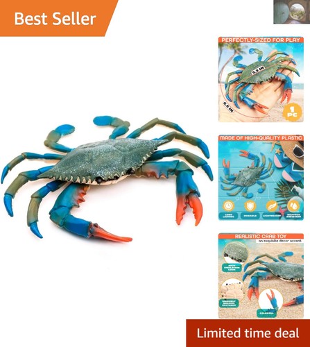 Giocattolo granchio blu - giocattolo,