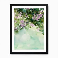 Quadro Montipora Ii libro di