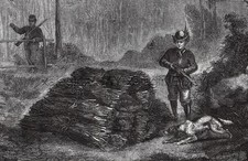 Donna Lady Cacciatrice Cacciatrice e Cane Setter Inglese, Stampa Antica Incisione 1870