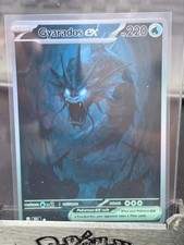 PokeTeamLegends Carta Pokemon