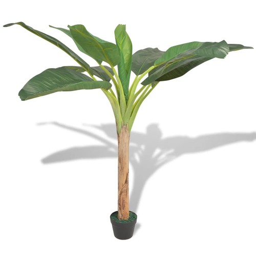 Albero banano pianta - albero,