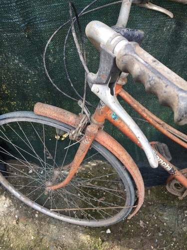 Bici bianchi donna epoca - bici, da