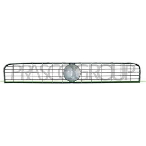 Griglia radiatore verniciata - radiatore,