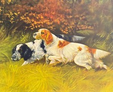 Stampa artistica cane setter inglese vintage 15x18, cani da caccia