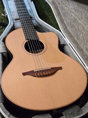 Lowden the jazz series 25j - the,