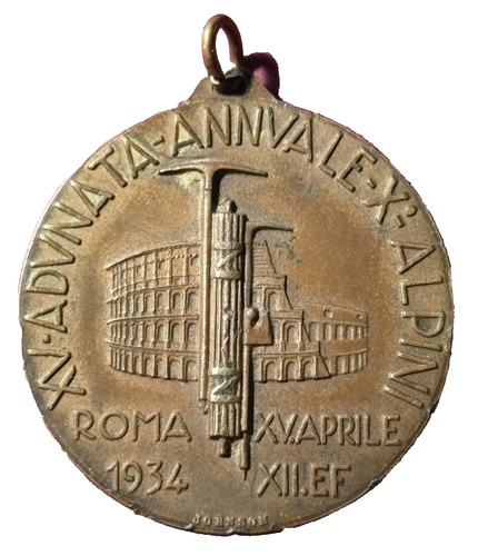 Medaglia adunata nazionale - xv,
