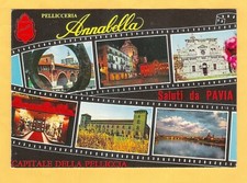 Pavia pellicceria Annabella