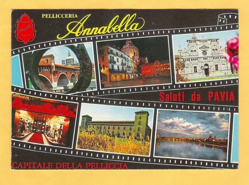 Pavia pellicceria annabella - pavia,