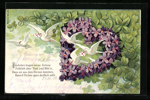 Cartolina colombe bianche - cartolina,
