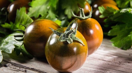 Semi pomodoro camone - 50,