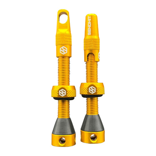 Valvole tubeless smontabile - valvole,