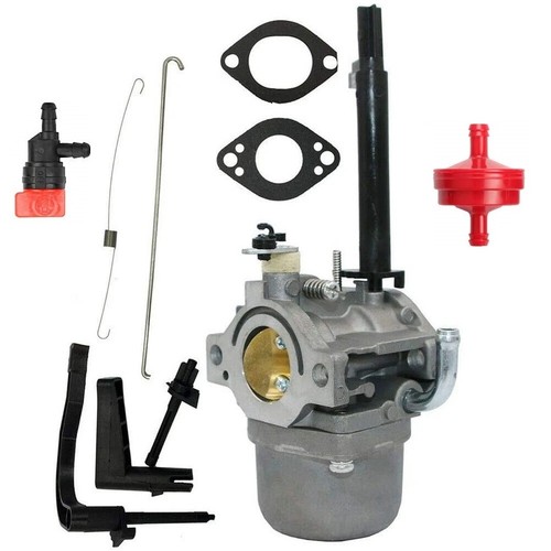 Carburatore briggs - f,