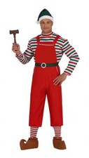 Costume elfo lavoratore