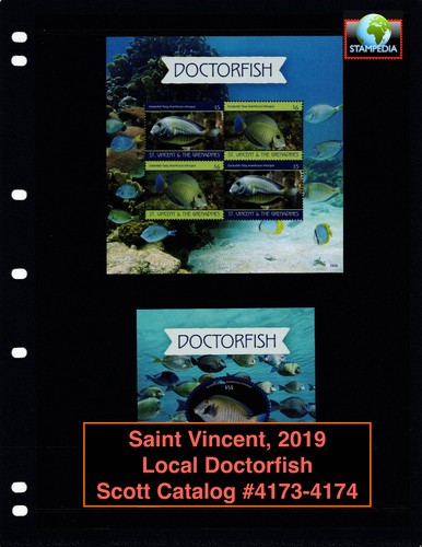 Scott value 2019 st - scott,