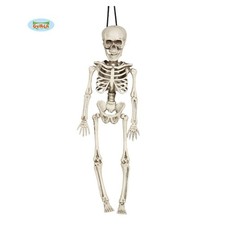 Scheletro da Corpo Umano da