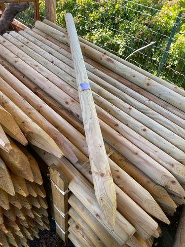 Pali legno pino palo - legno, di